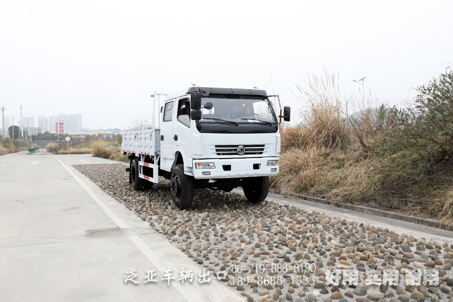 4*4東風(fēng)卡車,輕型卡車,越野卡車,東風(fēng)雙排卡車,3噸小型卡車,貨箱4.2米