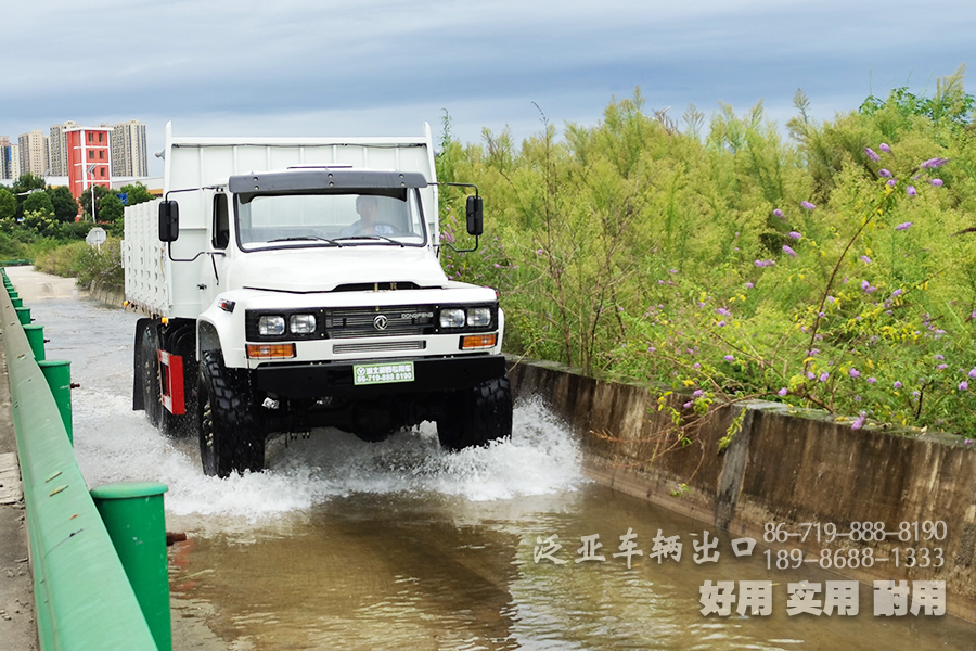 柴油自卸汽車(chē),6*6尖頭自卸車(chē),東風(fēng)白自卸車(chē),出口車(chē)專(zhuān)供,六驅(qū)自卸車(chē),6*6公路運(yùn)輸車(chē),自卸車(chē)出口