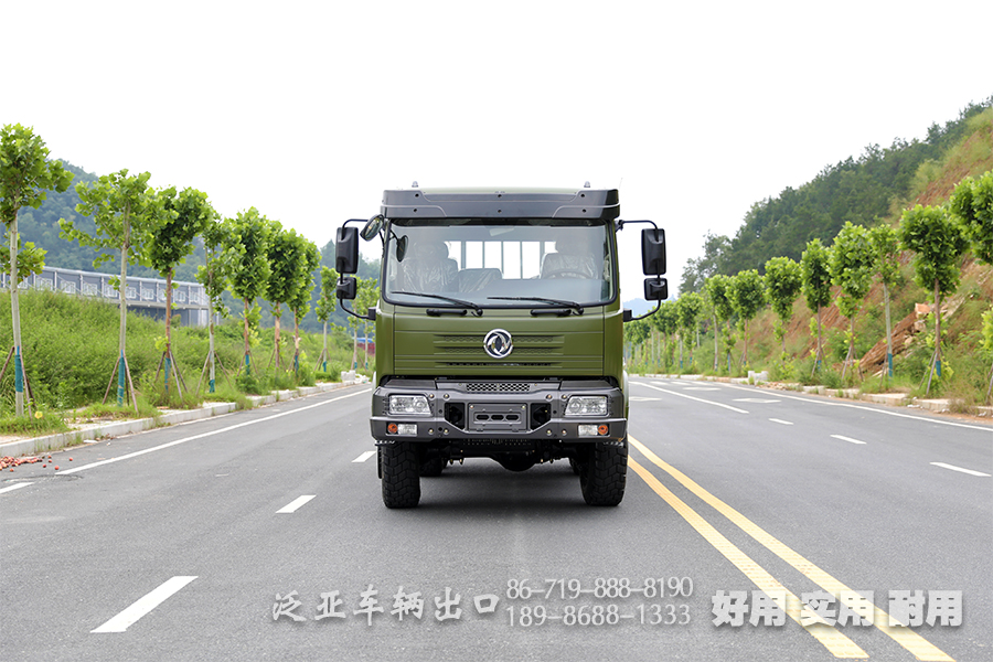 東風(fēng)6×6,越野卡車廠家,專用卡車廠家,升級(jí)款貨車,EQ2102載貨車,東風(fēng)六驅(qū),六驅(qū)EQ2102,190馬力貨車,平頭貨車定制